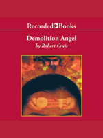 Demolition_angel